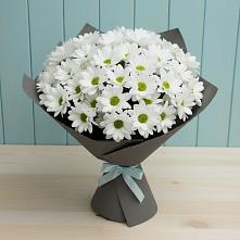 Букет цветов из:  Хризантемы #REPLACE_PRED# Перевальном
