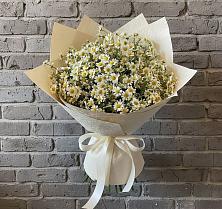 Букет цветов из:  Ромашки #REPLACE_PRED# Перевальном